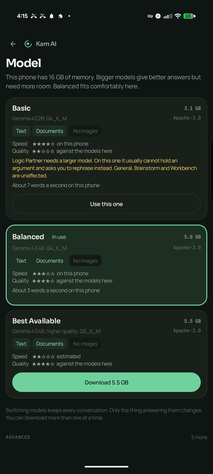The model picker showing tiers matched to the phone's memory